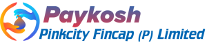 pinkcity logo